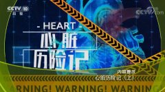 20190919健康之路视频和笔记:聂绍平,动脉粥样硬化,心肺复苏