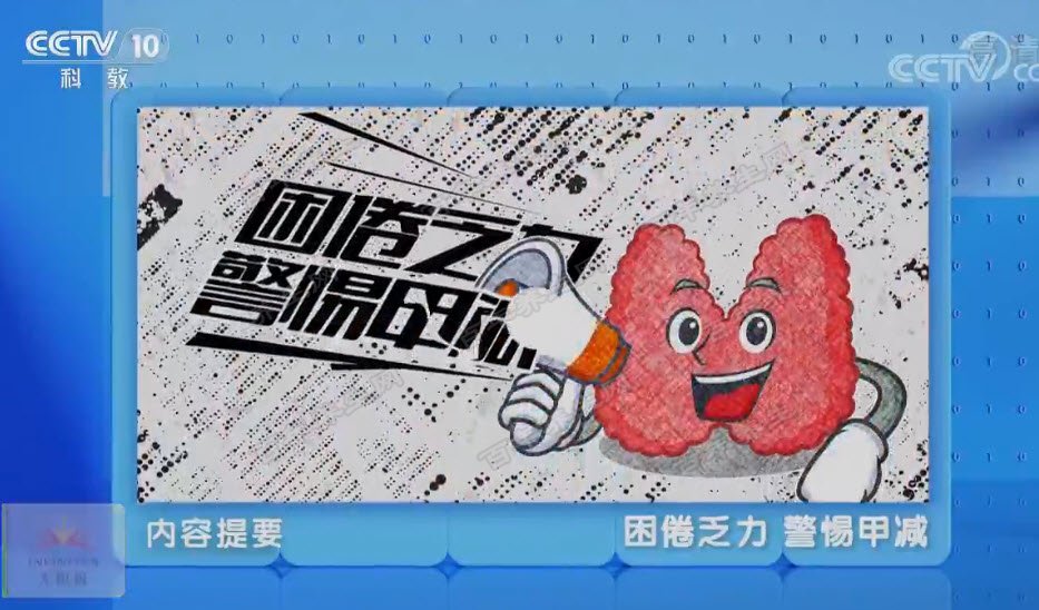 困倦乏力警惕甲减