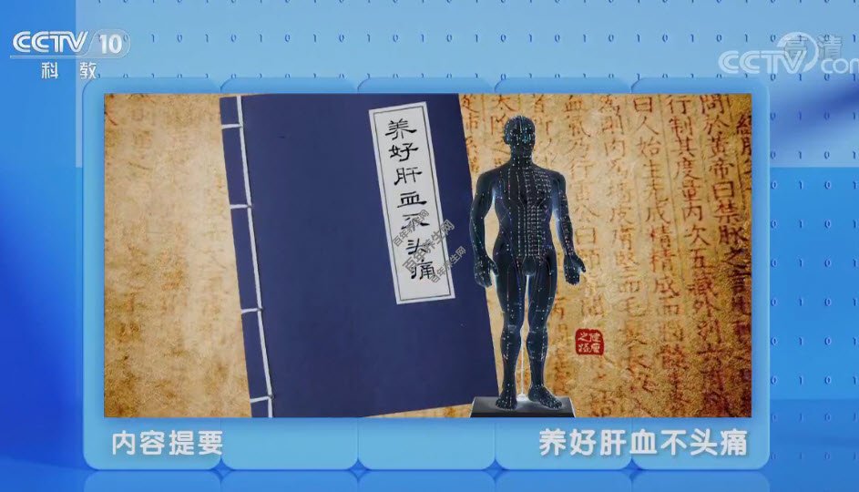 养好肝血不头痛