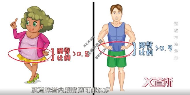 腰臀比例