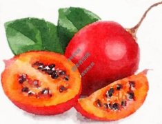 TCI大江生医的特有原料琉璃果树番茄论文发表于国际期刊