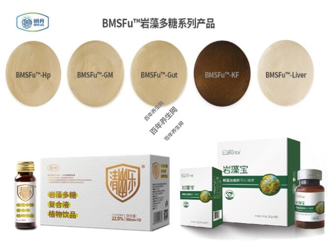 方案