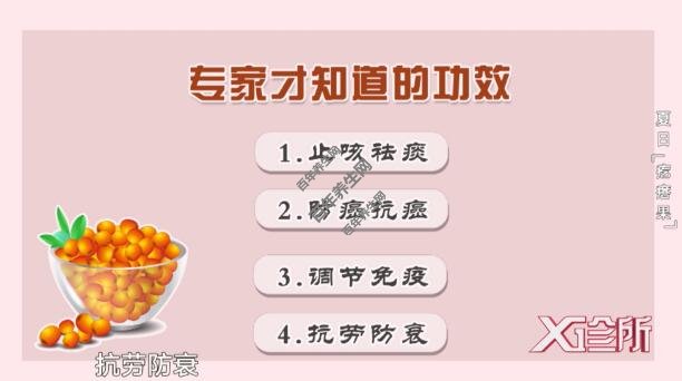 沙棘的功效