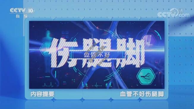 血管不好伤腿脚