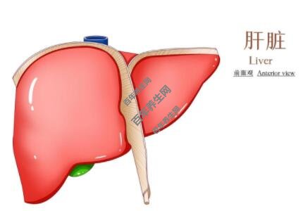 健康