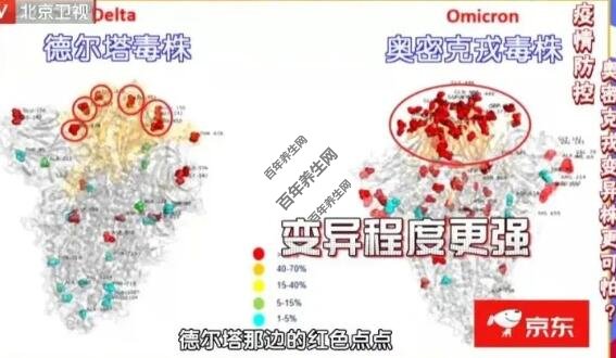 新冠病毒德尔塔毒株和奥密克戎毒株的对比图
