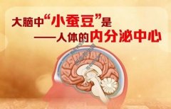 20220304养生堂视频和笔记:刘江,王瑶,视野缺失,血糖,头疼,脑卒中