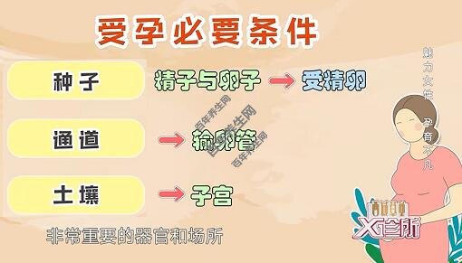 受孕的必要条件