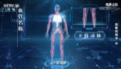 20220311健康之路视频和笔记:叶志东,下肢动脉闭塞,腔内介入手术