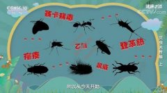 20220327健康之路视频和笔记:曾晓芃,蚊子,蟑螂,灭虫方法