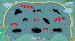 20220327֮·Ƶͱʼ:M,,,淽
