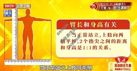 臂长和身高的关系