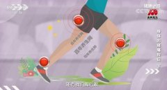 20220413健康之路视频和笔记:王成,苗欣,膝关节疼痛,脚踝疼痛