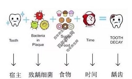 龋病的四联因素