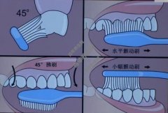 20220529家政女皇视频和笔记:陈志宇,龋齿,刷牙,鱼籽元贝炒鲜奶