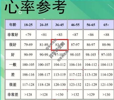 心率参考