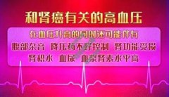 20220805养生堂视频和笔记:张宁,罗勇,王宁,高血压,前列腺癌