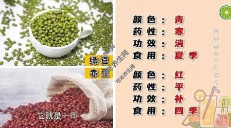 红豆与绿豆的区别