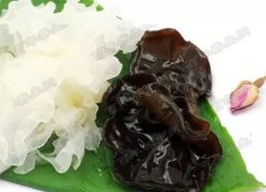 木耳与银耳图片