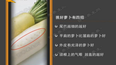 如何挑选好萝卜图片