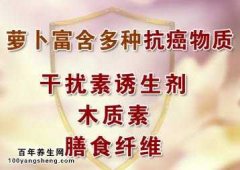 萝卜的保健养生功效图片