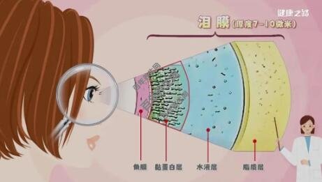 泪膜