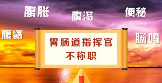 胃肠道指挥官