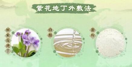 紫花地丁外敷法