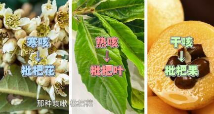 枇杷
