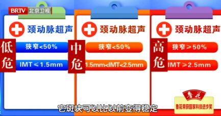 斑块的危险级别