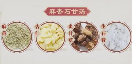 麻杏石甘汤