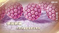 20231224健康之路视频和笔记:王建六,宫颈癌,子宫内膜癌,HPV