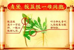 20240619Ƶͱʼ:,ջ«,嵨,