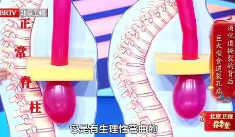 脊柱