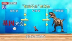 20250316Ƶͱʼ:,챨浥,,ν