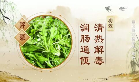 荠菜