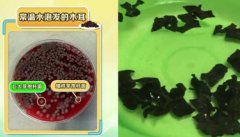 20250430健康之路视频和笔记:王晏美,厨房小细节健康大隐患