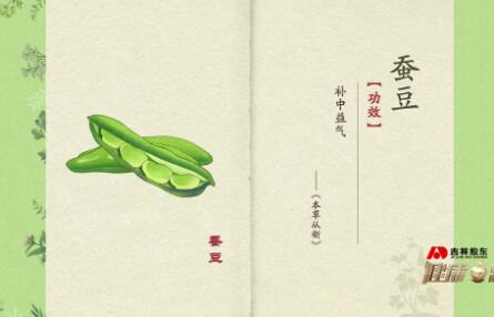 蚕豆