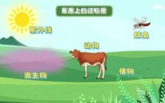 20250426健康之路视频和笔记:赵彬,假期旅行带药全攻略
