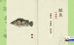 20250502健康之路视频和笔记:钱会南,鳜鱼,泥鳅,茭白,膳食纤维