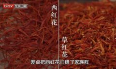 20251022养生堂视频和笔记:詹志来,西红花,西红宁心茶,草红花,心