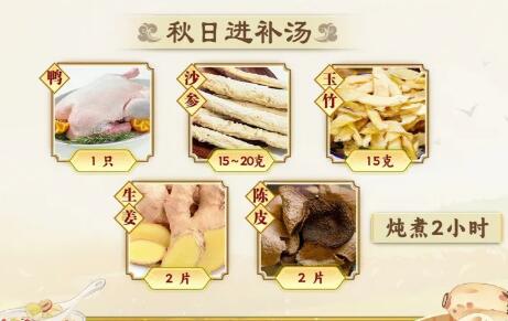 沙参玉竹老鸭汤