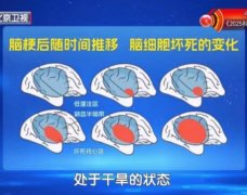 20251029��������Ƶ�ͱʼ�:������,������,��ȱѪ,�ֽ���ľ,����