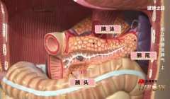 20251120����֮·��Ƶ�ͱʼ�:�ܷ�,������,����ʯ,��Ѫ֬