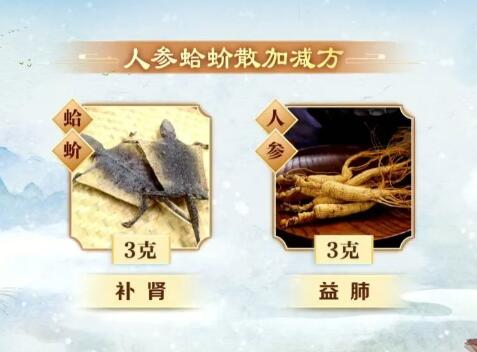 人参蛤蚧散加减方