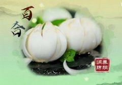 20251217����֮·��Ƶ�ͱʼ�:ղ־��,����,�ٺ�,���Ȳ�,�Ѳ�