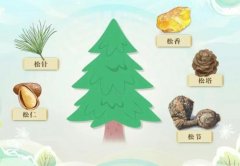 20260101����֮·��Ƶ�ͱʼ�:³��,����÷,���,����,�����