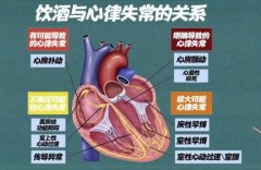 20260116����֮·��Ƶ�ͱʼ�:����,����,��Ѫ�ܼ���,�˶����