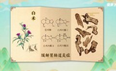 20260131����֮·��Ƶ�ͱʼ�:ղ־��,����,�˲ΰ�����,������