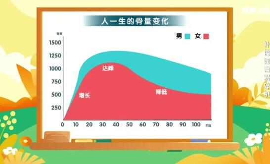 人一生的骨量变化